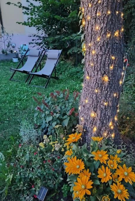 Stilvoll Und Gemuetlich - Wohnen Mit Flair Lägenhet Albstadt Exteriör bild